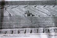 广西,梧州市,蒙山县,文圩镇,六夏村