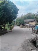 广西,玉林市,容县,六王镇,塘垌村