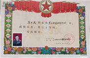 山东省,泰安市,宁阳县,鹤山乡,孔家庙村