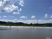 河南省,平顶山市,舞钢市,庙街乡,曹庄村