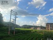 广西,玉林市,容县,六王镇,塘垌村