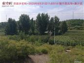 辽宁省,朝阳市,龙城区,半拉山街道,半拉山村