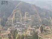 贵州省,铜仁市,石阡县,枫香乡,明星村
