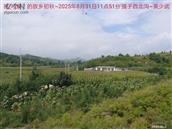 辽宁省,朝阳市,龙城区,半拉山街道,半拉山村