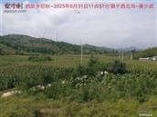 辽宁省,朝阳市,龙城区,半拉山街道,半拉山村