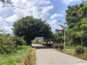 广东省,汕尾市,海丰县,陶河镇,下边村