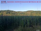 辽宁省,朝阳市,龙城区,半拉山街道,半拉山村