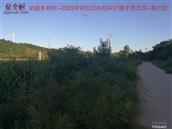 辽宁省,朝阳市,龙城区,半拉山街道,半拉山村