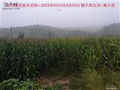 辽宁省,朝阳市,龙城区,半拉山街道,半拉山村