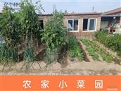 山西省,大同市,云州区,党留庄乡,罗庄村