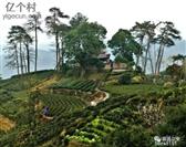 浙江省,绍兴市,新昌县,镜岭镇,建国村