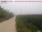 辽宁省,朝阳市,龙城区,半拉山街道,半拉山村