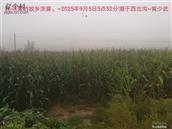 辽宁省,朝阳市,龙城区,半拉山街道,半拉山村