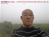 辽宁省,朝阳市,龙城区,半拉山街道,半拉山村