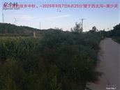 辽宁省,朝阳市,龙城区,半拉山街道,半拉山村