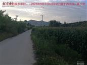 辽宁省,朝阳市,龙城区,半拉山街道,半拉山村