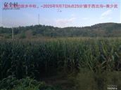 辽宁省,朝阳市,龙城区,半拉山街道,半拉山村