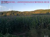 辽宁省,朝阳市,龙城区,半拉山街道,半拉山村