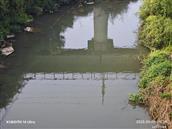 广西,河池市,宜州区,洛西镇,枫木村