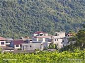 广西,河池市,宜州区,洛西镇,枫木村