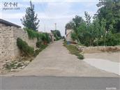 山东省,济宁市,邹城市,石墙镇,寺西村