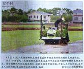 湖南省,益阳市,南县,南洲镇,班嘴村