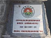 广西,河池市,宜州区,洛西镇,枫木村