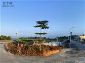 广东省,汕尾市,海丰县,陶河镇,下边村