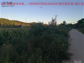 辽宁省,朝阳市,龙城区,半拉山街道,半拉山村