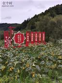 吉林省,白山市,抚松县,北岗镇,蒲春河村