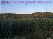辽宁省,朝阳市,龙城区,半拉山街道,半拉山村