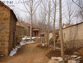 山东省,临沂市,沂水县,道托镇,前官庄村