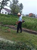 安徽省,芜湖市,无为县,无城镇,黄汰村