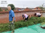 安徽省,芜湖市,无为县,无城镇,黄汰村