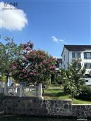 江苏省,无锡市,锡山区,安镇街道,谈村