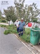 安徽省,芜湖市,无为县,无城镇,黄汰村