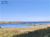 河北省,张家口市,张北县,二台镇,一卜树村