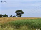 河北省,张家口市,张北县,二台镇,窑儿沟村