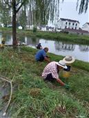 安徽省,芜湖市,无为县,无城镇,黄汰村
