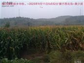 辽宁省,朝阳市,龙城区,半拉山街道,半拉山村