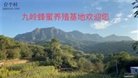 河北省,石家庄市,灵寿县,寨头乡,九岭村