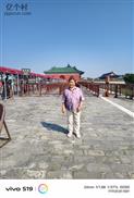 师家庄村 