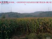 辽宁省,朝阳市,龙城区,半拉山街道,半拉山村