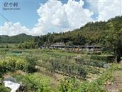 梅桥村 欢迎各位领导来泰宁县杉城镇梅桥村指导工作！