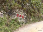 湖南省,邵阳市,洞口县,大屋乡,岩龙村