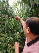 陕西省,西安市,周至县,哑柏镇,裕盛村