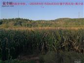 辽宁省,朝阳市,龙城区,半拉山街道,半拉山村