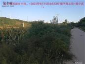辽宁省,朝阳市,龙城区,半拉山街道,半拉山村