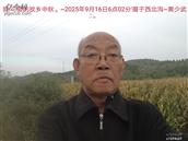 辽宁省,朝阳市,龙城区,半拉山街道,半拉山村