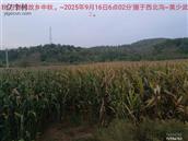 辽宁省,朝阳市,龙城区,半拉山街道,半拉山村